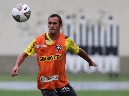 Ex-Botafogo, Palmeiras e Fluminense, Lucas se aposenta aos ...