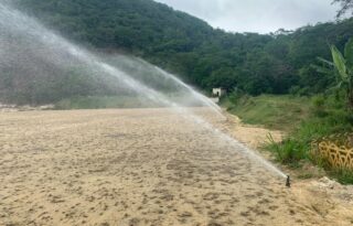 Obras do CT do Botafogo avançam, e grama começa a aparecer no campo