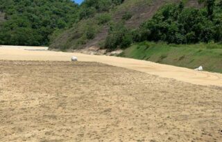 Grama de campo do novo CT do Botafogo começa a ser plantada; previsão de 45 dias