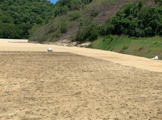 Grama de campo do novo CT do Botafogo começa a ser plantada; previsão de 45 dias Grama de campo do novo CT do Botafogo começa a ser plantada; previsão de 45 dias