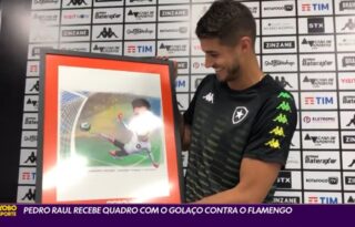 Botafogo: Pedro Raul ganha quadro por golaço de voleio sobre o Flamengo