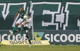 Botafogo faz consulta por Fernandão, mas recua por caso de doping