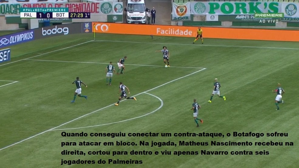 Análise Palmeiras 1 x 1 Botafogo