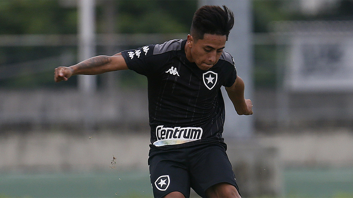 Lecaros | Botafogo