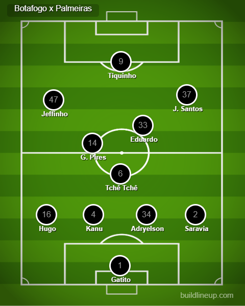 Análise Botafogo x Palmeiras