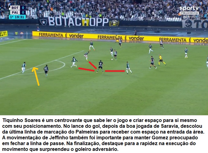 Análise Botafogo x Palmeiras