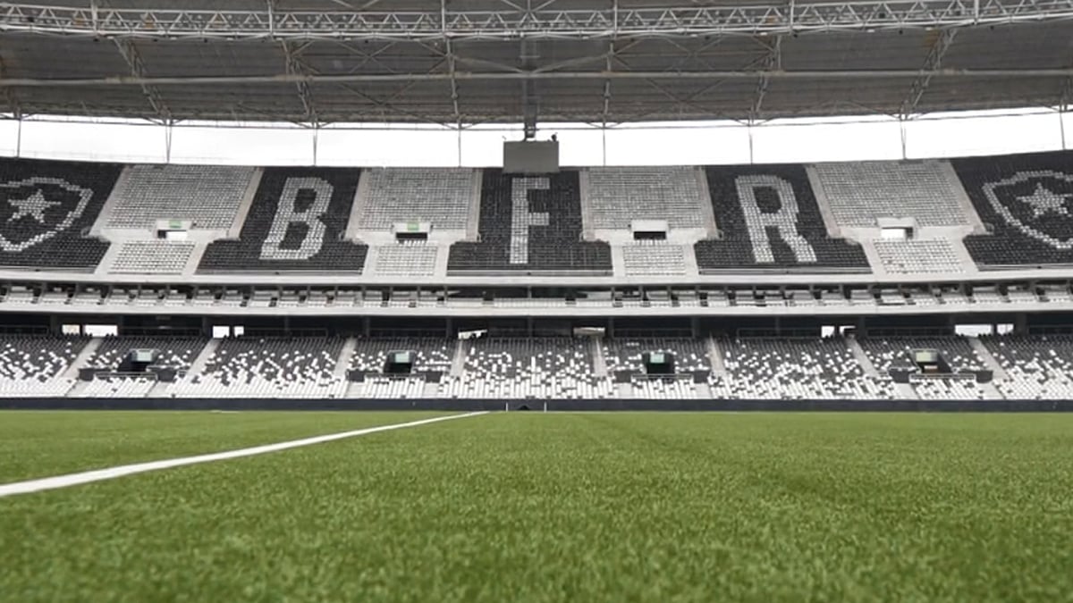 Gramado sintético do Estádio Nilton Santos, do Botafogo, em agosto de 2023