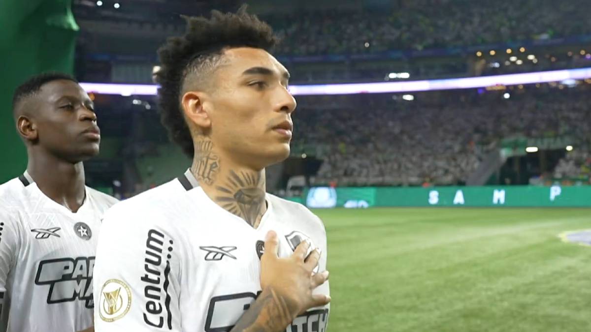 Luiz Henrique e Igor Jesus em Palmeiras x Botafogo | Campeonato Brasileiro 2024